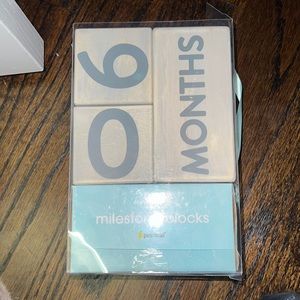 MILESTONE BLOCKS WEEKS MONTHS YEARS